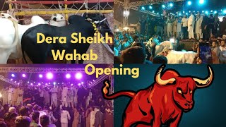 Bhatta Chowk Mandi Dera Sheikh Wahab  Grand Opening [upl. by Gile930]