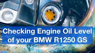 BMW Motorrad R1250GS  Checking Engine Oil Level [upl. by Woodrow]