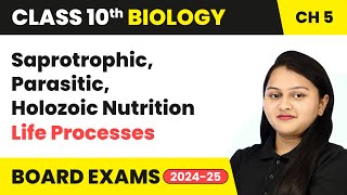 Saprotrophic Parasitic Holozoic Nutrition  Life Processes  Class 10 Biology Chapter 5  CBSE [upl. by Dee]