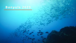 Diving Banyuls 2023 [upl. by Nelon]