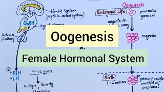 Physiology Before Pregnancy  Female Hormones [upl. by Magee]