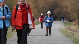 Nisqually National Wildlife Refuge [upl. by Jone869]