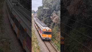 S477 próxima parada Tordera Saludo Hattrick del maquinista 📢 🔊🖐🏻 trains train trainshorts [upl. by Ecnaled347]