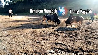 Ryngiem Nangbah vs Triang Pasyiah  ia daw masi  7tarick  bnai11  2024 [upl. by Niahs991]