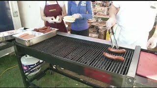 Mass Appeal 2015 Chicopee Kielbasa Festival [upl. by Abocaj871]