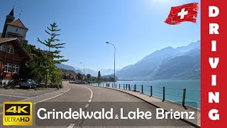 Driving in Switzerland 17 From Grindelwald to Lake Brienz and Innertkirchen  4K 60fps [upl. by Ivah]