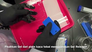 Workshop Western Blot [upl. by Hapte]