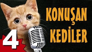 Konuşan Kediler 4  En Komik Kedi Videoları [upl. by Jopa99]