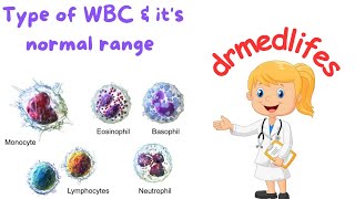 Types of wbc  types of leucocytes  different types of white blood cells normal range [upl. by Nohshan996]