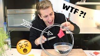 Ich teste MAGISCHES PLASTIK das die Form verändert 😱😵  Julienco [upl. by Ebeneser468]