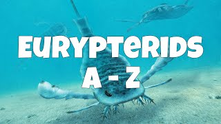 Eurypterids A  Z [upl. by Fretwell]