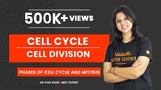 Cell Cycle and Cell Division Class 11  Phases of Cell Cycle and Mitosis  NEET 2022  V Biotonic [upl. by Umont]