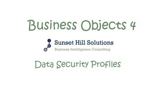 Business Objects 4x  Information Design Tool  Data Security Profiles [upl. by Garlanda]