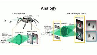 45 Compact single shot metalens depth sensor inspired by eyes of jumping spiders Demo [upl. by Etnuahs129]