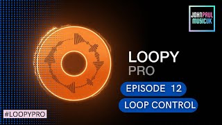 Loopy Pro Tutorial How to use Individual Loop Controls [upl. by Daphie]