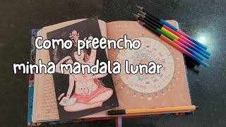 como preencho minha mandala lunar 2024 [upl. by Aihsekat]