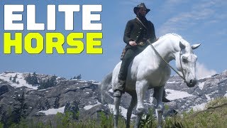 Red Dead Redemption 2 How to Find and Tame an Elite Arabian Horse [upl. by Noelyn]