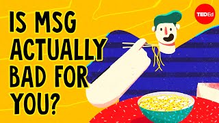 What is MSG and is it actually bad for you  Sarah E Tracy [upl. by Chor939]