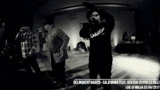 Delinquent Habits  California feat Sen Dog  Live at LA Story 2017 [upl. by Shani]