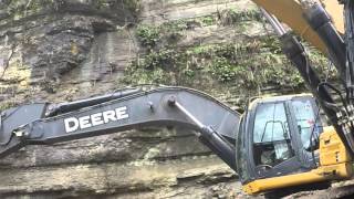 Rare sighting of a Big Cat and Deere sitting together in Tennessee SNORT [upl. by Amiel]