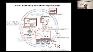 BuildaCell seminar Kosuke Fujishima Expanding the reconstituted cellfree TXTL system [upl. by Leirol]