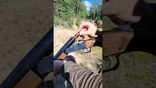 Shooting old 16 gauge single barrel shotgun shorts short shortsfeed [upl. by Wilser11]