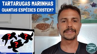 Tartarugas marinhas quantas espécies existem  Biologia Marinha em Revista 07 [upl. by Allene818]