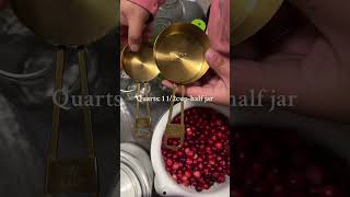 Canning Home made Cranberry juice cranberryjuice cranberry canning food recipe homemade juice [upl. by Flight896]