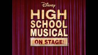 Were All In This Together INSTRUMENTAL  Stage Song High School Musical [upl. by Datnow]