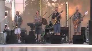 NB Video Biff and the Cruisers rock Kehoe Park [upl. by Samtsirhc738]