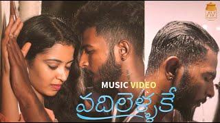 Vadhilellake Telugu Private Album Song  Charan  Navya Chityala  Sarav II Romantic [upl. by Enrobyalc787]