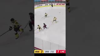 Linköping HC  Skellefteå AIK  SHL  Jornada 22  NHL™ 20 [upl. by Hube]