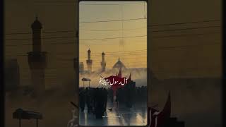 arbaeen status noha nadeem sarwar foreyou viral wawela wawela noha [upl. by Nosirrah152]