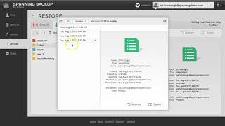 Spanning Backup for G Suite Ransomware Recovery [upl. by Angelica947]