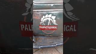 Sociedad Paleontológica  Parque Buin Zoo  18 10 2024 🦖 [upl. by Stepha]