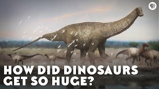 How Did Dinosaurs Get So Huge [upl. by Edric]