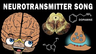 THE NEUROTRANSMITTER SONG [upl. by Okim]