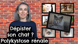 Dépister son chat  Polykystose rénale 🐱 [upl. by Erehs]