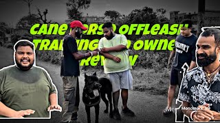 Huge Cane Corso 5th Day Offleash Training Update Offleash Training Tips  Offleash Public Reaction [upl. by Ellehsal926]