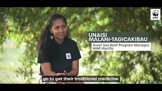 Mangrove Day Fiji [upl. by Enelloc]