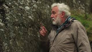 Talking about lichen at Gilfach with Ray Woods [upl. by Cykana]