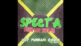 SPECTA  POUR LES TUER  HOT PUNANNY RIDDIM   LS [upl. by Atihana]