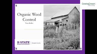 Organic Weed Control [upl. by Etnomed742]