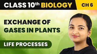 Class 10 Biology Chapter 6  Exchange of Gases in Plants  Life Processes [upl. by Lizbeth635]