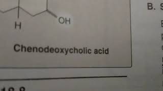 chenodeoxycholic acid pronunciationbile acidlipds [upl. by Furiya]