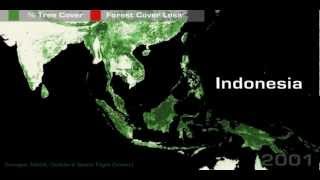 Global Deforestation Trends Animation © 2012 Dana Vion [upl. by Luing]