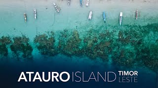 Atauro Remote Island Experience  Timor Leste Travel Vlog [upl. by Estrin]