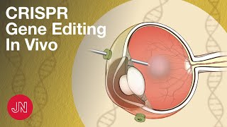 Gene Editing Inside the Body Using CRISPR [upl. by Nayhr]