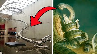 TOP 10 Animals Believed Extinct Recently Found Alive [upl. by Ovida]