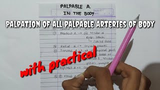 Palpation of all palpable Arteries of Body [upl. by Wilda]